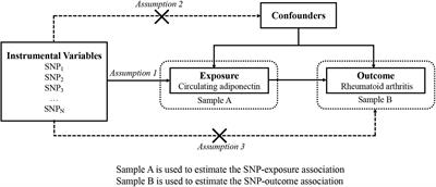 No Causal Association Between Adiponectin and the Risk of Rheumatoid Arthritis: A Mendelian Randomization Study